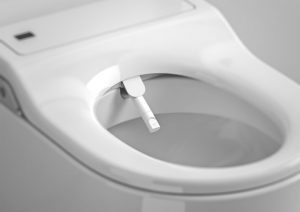 Canule nettoyant WC Inspira ROCA